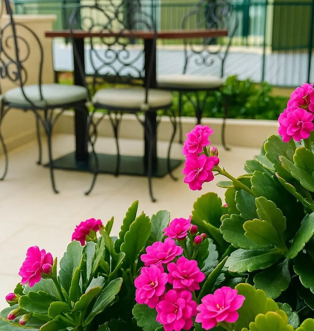 Palm Beach Hotel Golden Sands
